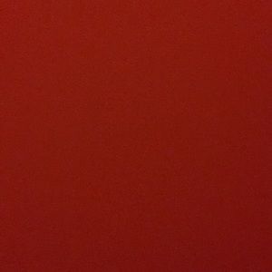 Meet your Posher, Bailey